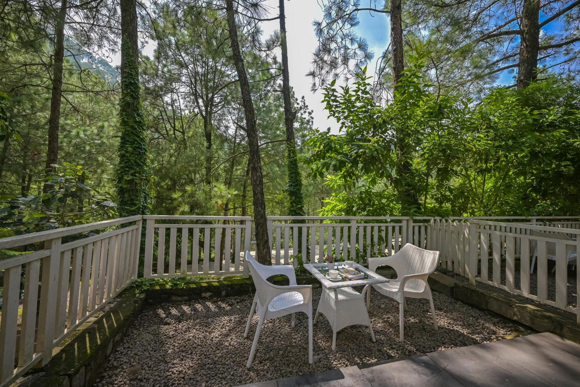 Resort Jungle Kasauli